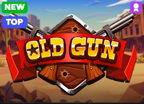 Old Gun