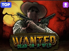 Wanted Dead or a Wild